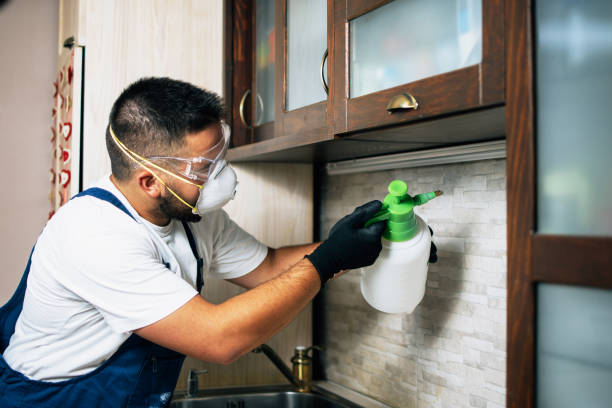 New Tazewell, TN Pest Control Company