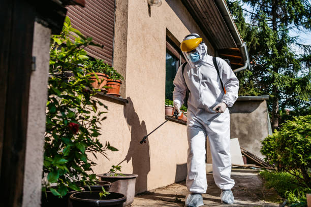 Best Emergency Pest Control  in New Tazewell, TN
