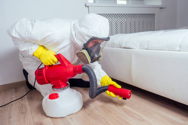 Best Wasp Removal Services  in New Tazewell, TN