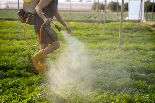 Best Pest Prevention Services  in New Tazewell, TN