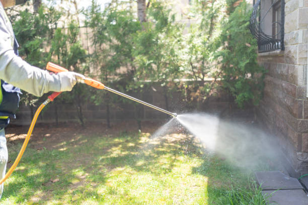 Trusted New Tazewell, TN Pest Control Experts