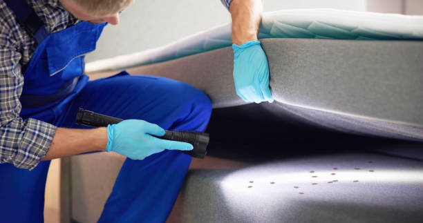Pest Control for Restaurants in New Tazewell, TN