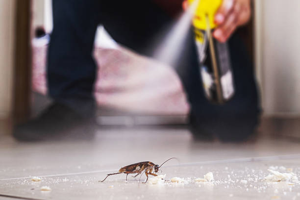 Best Pest Removal Services  in New Tazewell, TN