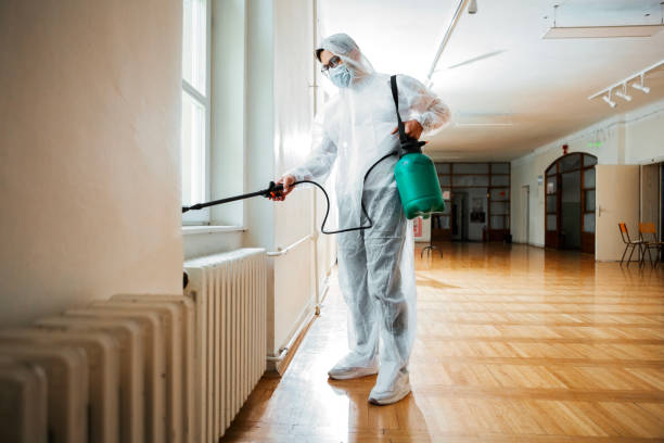 Best Local Pest Control Services  in New Tazewell, TN